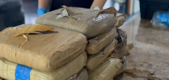 Dupla detida com uma tonelada de entorpecentes avaliada em R$ 10 milhões no Amazonas