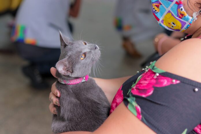 Imunização Antirrábica de Cães e Gatos em Manaus: Últimos Dias para Vacinação até Segunda-feira; Confira os Locais Disponíveis