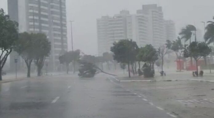 Defesa Civil esclarece que boato sobre ciclone extratropical em Manaus é falso