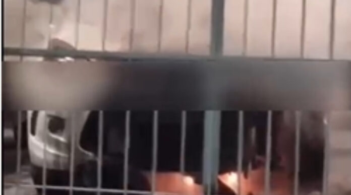 Incêndio em loja de veículos no Japiim, Manaus, resulta em carro em chamas