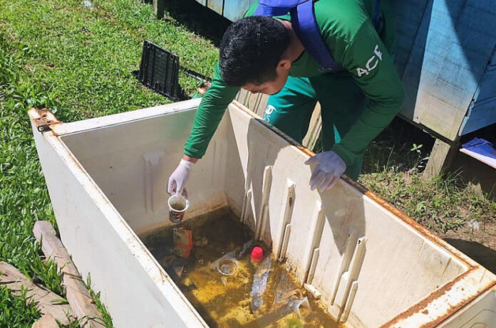 Notícia do Amazonas Dengue no Amazonas: Redução de 51% nos Casos Notificados nos Dois Primeiros Meses de 2025