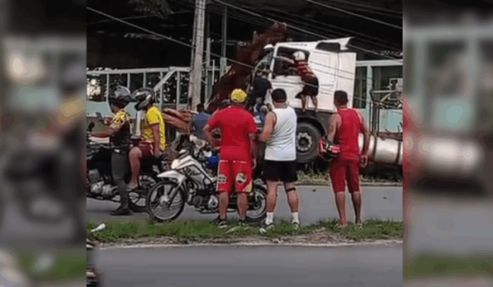 Notícias do Amazonas Caminhão desgovernado provoca ferimentos em quatro pessoas ao colidir com árvore em Manaus