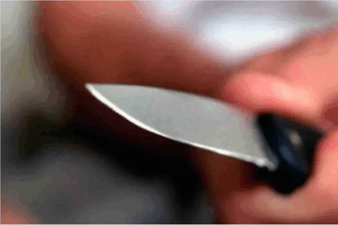 Notícias do Amazonas Esposa Esfaqueia Marido Durante Discussão em Manaus