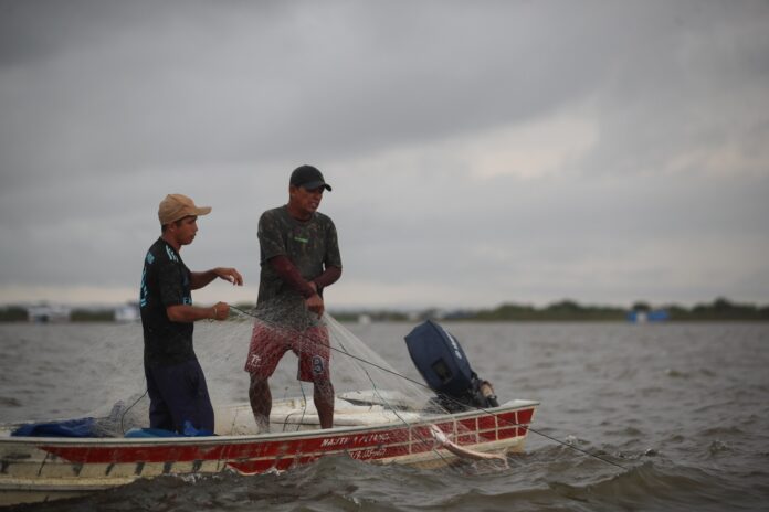 Notícias do Amazonas Liberação da Pesca de Oito Espécies no Amazonas Marca o Fim do Defeso