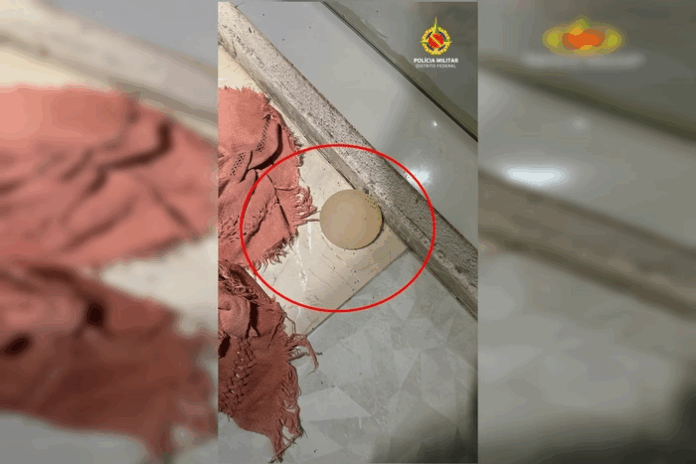 Notícias do Amazonas Marido violento remove silicone da esposa com faca em ato brutal
