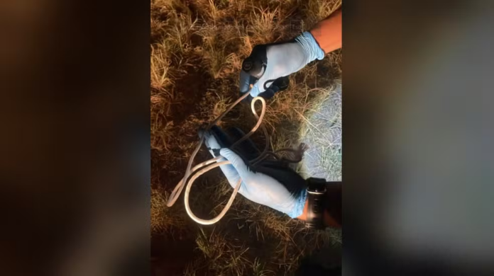Mulher finge estar morta para escapar de agressão brutal durante jantar em Blumenau