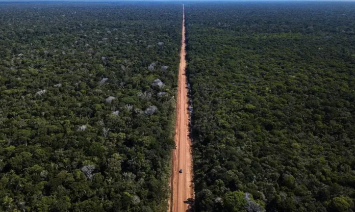 PSDB solicita ao STF a pavimentação da BR-319 para melhorar a infraestrutura na Região Norte