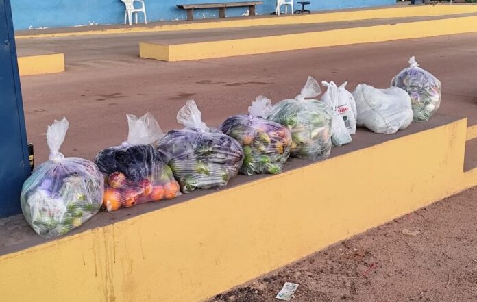 Adaf bloqueia a entrada de mais de 200 kg de frutas potencialmente infestadas por pragas no Amazonas