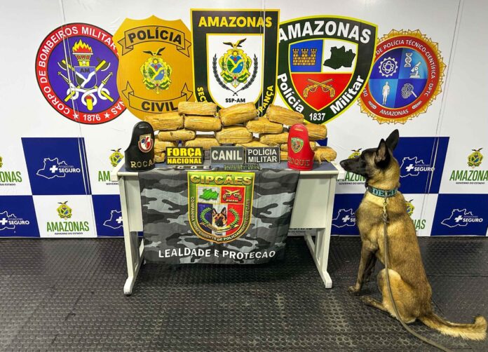 Notícias do Amazonas Mulher é detida no Amazonas com 23 quilos de drogas avaliadas em meio milhão escondidas em sacos de fibra
