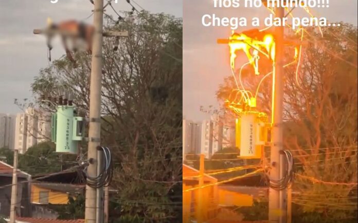 Homem é eletrocutado e pega fogo ao tentar furtar fiação de poste em Manaus