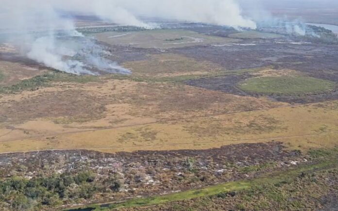 Inpe revela crescimento de 55% no desmatamento da Amazônia durante o mês de abril