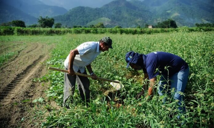 R$ 50 Milhões em Microcrédito Rural Já Destinados à Região Norte pelo Programa
