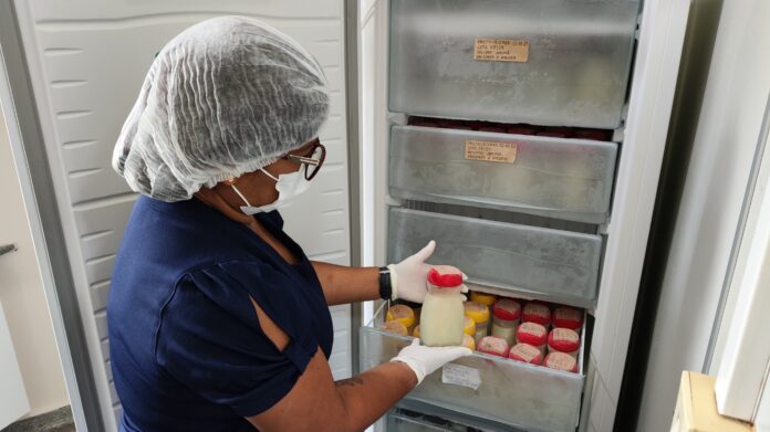 Doação de Leite Materno Beneficia 2 Mil Bebês Prematuros no Amazonas