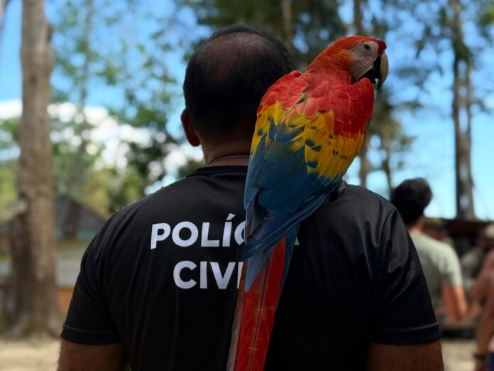 Grupo que abusava de animais silvestres em turismo no Amazonas é desmantelado pela polícia
