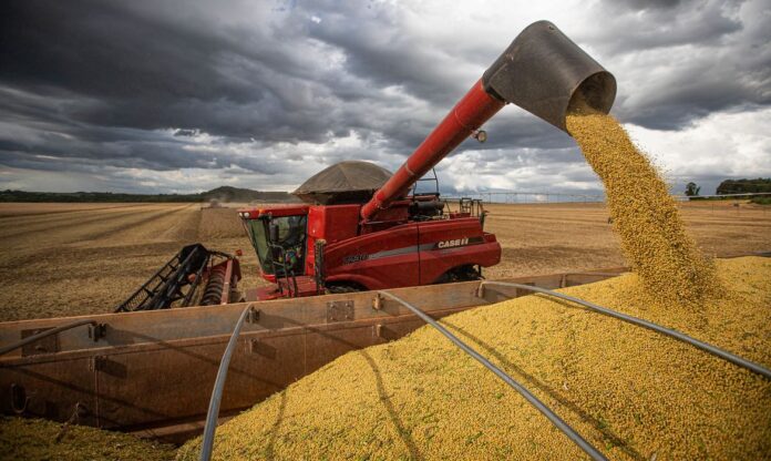 Produção agrícola no Amazonas deve atingir 52,3 mil toneladas em 2025