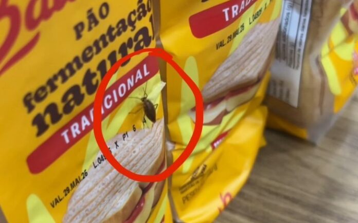 Procon Apreende e Descartam Mais de 85 kg de Alimentos Inadequados para Consumo em Manaus
