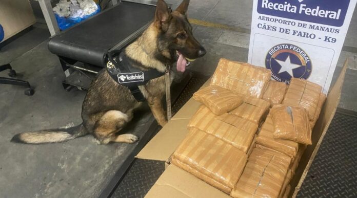 Funcionário da GOL Log detido por tráfico ao tentar enviar 97 quilos de maconha no Aeroporto de Manaus