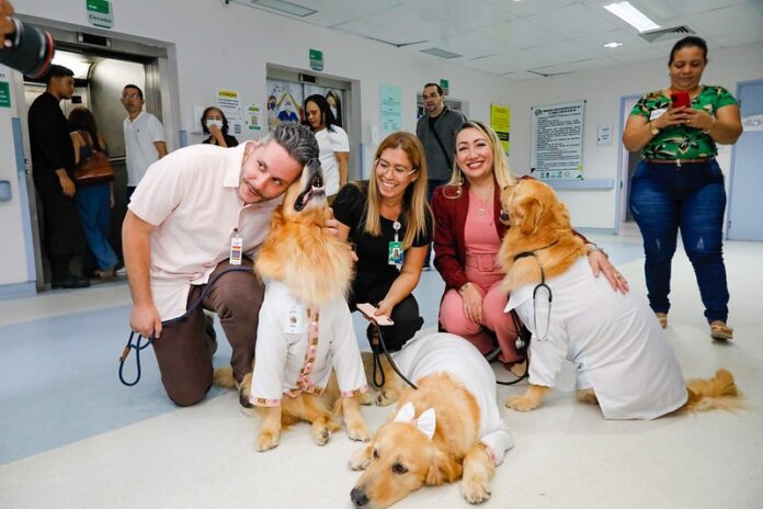 Cães terapeutas proporcionam conforto e auxiliam na recuperação de pacientes em hospital de Manaus