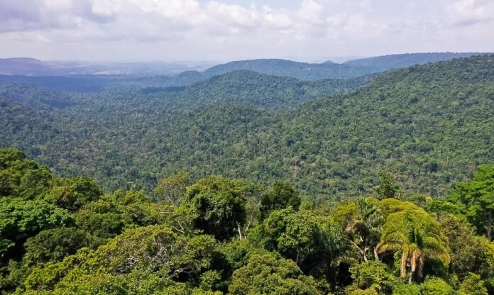 Edital Aloca R$ 2,5 Milhões para Projetos de Pesquisa em Economia Sustentável na Amazônia