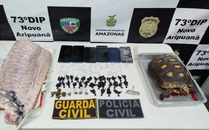 Jabuti Resgatado em Novo Aripuanã Apresenta Sinais de Maus-Tratos durante Operação Policial