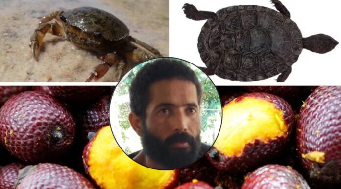 Caçador Sobrevive 50 Dias na Floresta Amazônica Alimentando-se de Buriti e Animais Crus