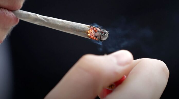 Manaus proíbe consumo de maconha em espaços públicos com nova legislação aprovada pela Câmara Municipal