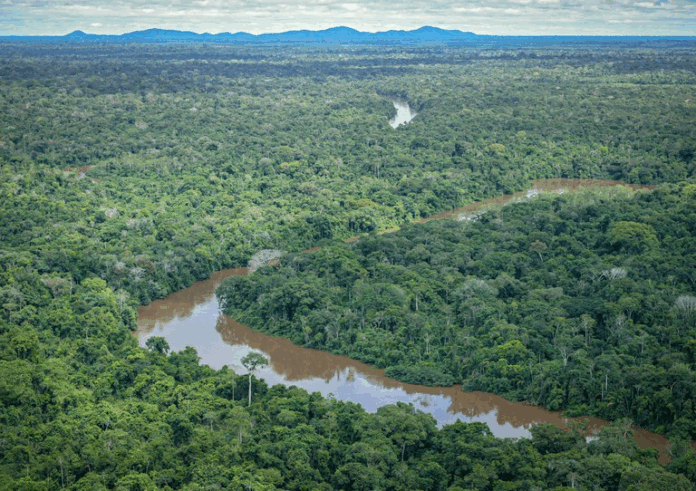 Ibama dá sinal verde para fase do plano de exploração petrolífera na Foz do Amazonas
