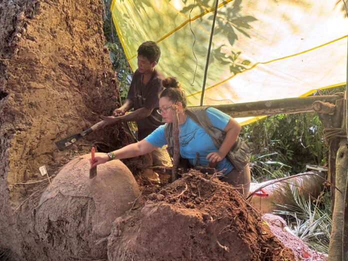 Descoberta Arqueológica Revela Estruturas Indígenas Inéditas nas Várzeas do Amazonas
