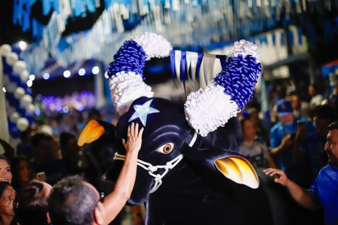 Caprichoso se prepara para o maior Boi de Rua da história em Parintins