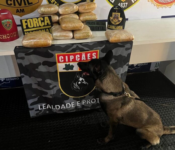 Casal é preso com 20 kg de drogas em bagagem no AM