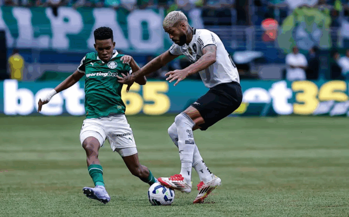 Palmeiras x Botafogo: onde assistir, escalações e horário