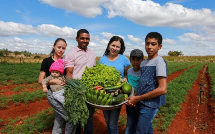 Governo celebra crescimento do Pronaf com R$ 12 bi em máquinas e crédito