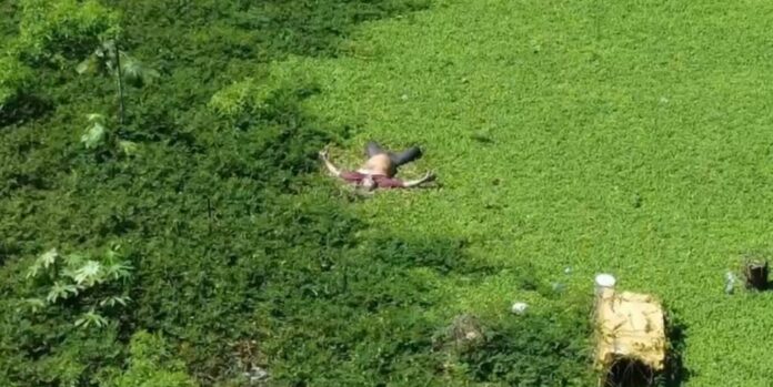 Corpo em decomposição é encontrado no Centro de Manaus