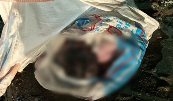 Recém-nascido é encontrado morto dentro de sacola em Manaus