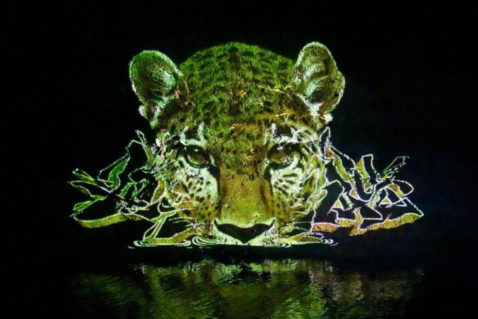 Floresta vira galeria viva para alertar sobre preservação da Amazônia