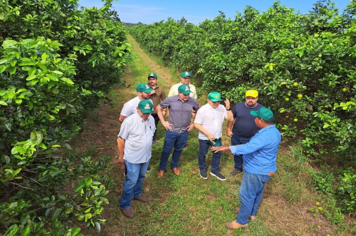 Suframa reforça integração entre Indústria, Comércio e o Agro