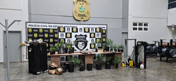 Homem é preso por cultivar maconha em estufas dentro de empresa em Manaus