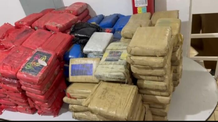 Dois homens detidos em Manaus com 250 kg de skunk escondidos em caminhão-baú