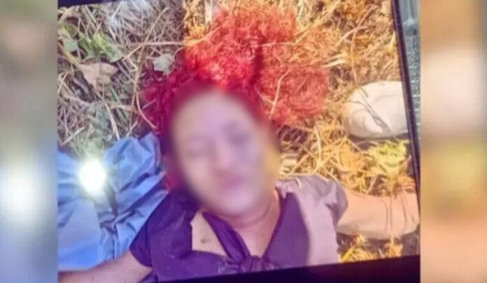 Mulher é descoberta sem vida e seminua em área de mata na Zona Norte de Manaus