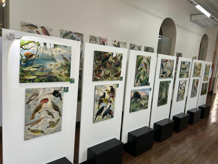 Notícias do Amazonas – Exposição revela legado suíço-brasileiro na Amazônia