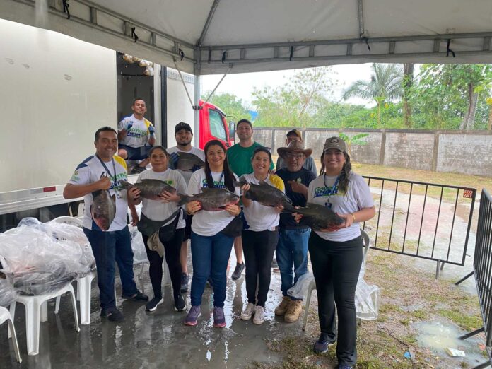 Notícias do Amazonas – ADS entrega tambaqui e promove feira em Novo Aleixo