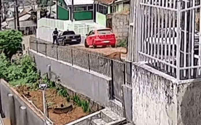 Caçador (SC) – Morador encontra onça-parda circulando em rua do bairro