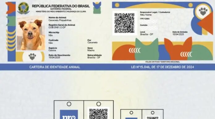 RG Animal: Conheça o SinPatinhas e como registrar seu pet gratuitamente