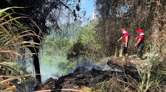 Notícias do Amazonas – Incêndio em lixeira no Mauazinho preocupa moradores e bombeiros