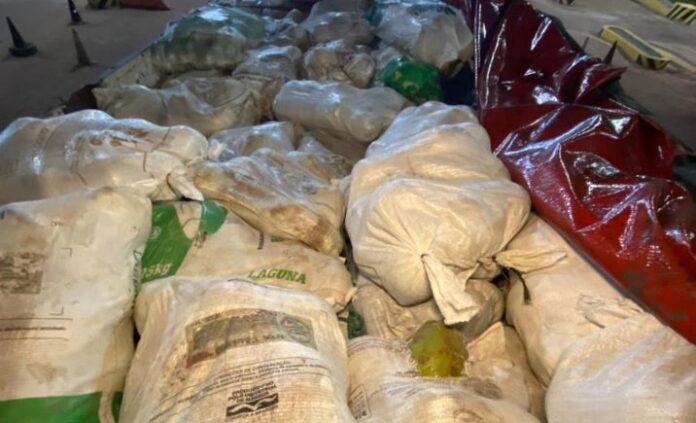 Notícias do Amazonas – Quatro toneladas de frutas irregulares são confiscadas em Roraima