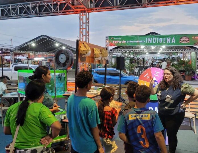 Notícias do Amazonas – Expoagro 2023 traz palestras e fiscalização da Adaf