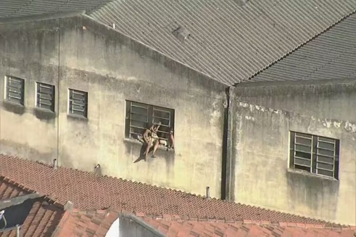 Notícias do Amazonas – Funcionários buscam fuga em incêndio de fábrica no Rio