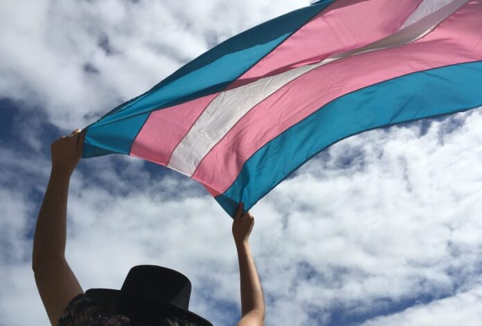 Notícias do Amazonas – Redução de 16% nos assassinatos de trans em 2024 no Brasil