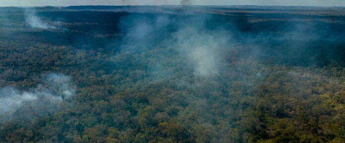 Notícias do Amazonas – Prazo de 60 dias para Amazônia e Pantanal adotarem Sinaflor
