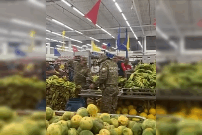Notícias do Amazonas – Filhote de cobra coral é resgatado em mercado no DF